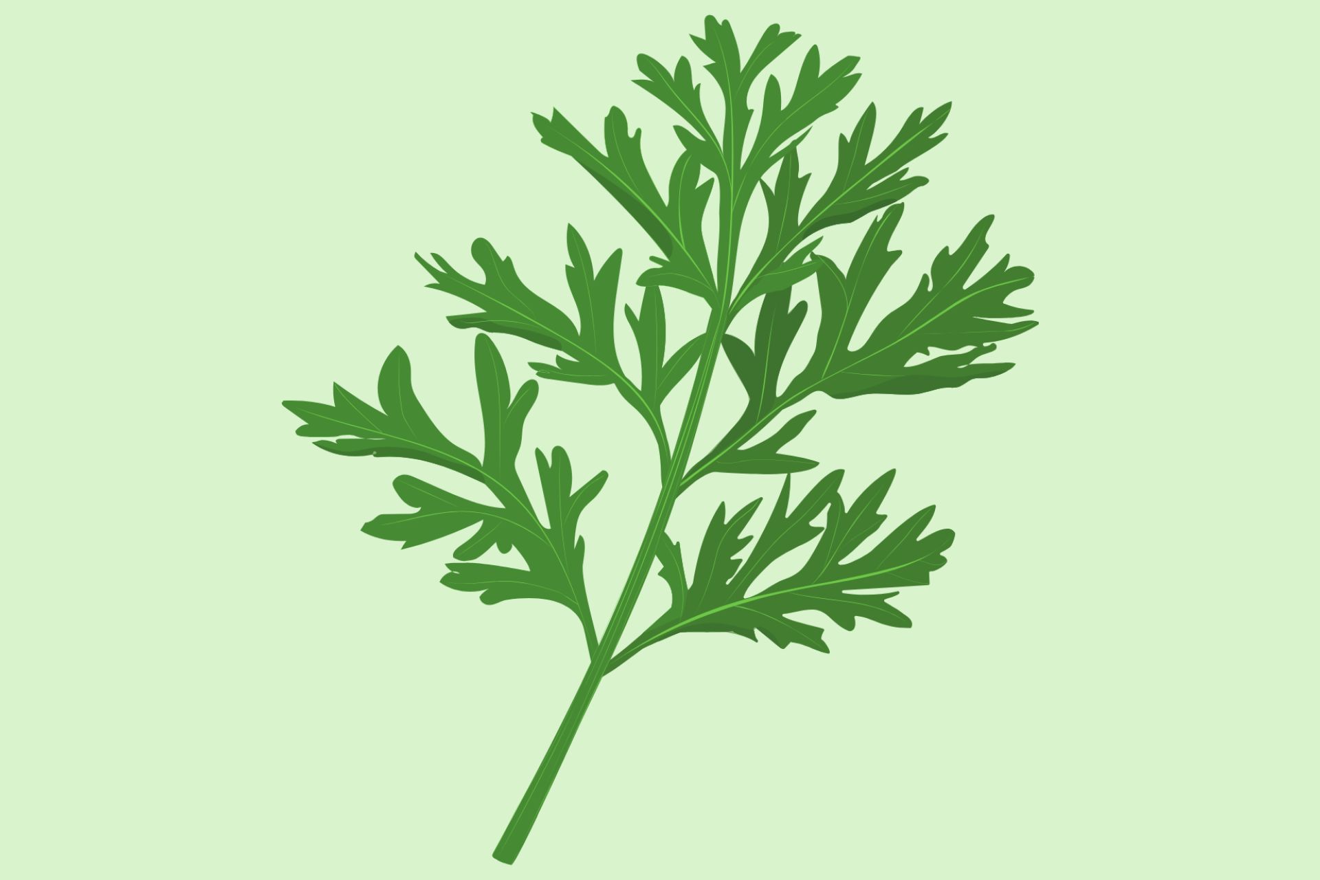 artemisia allergeni molecolari