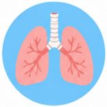 sintomi bronchiali sintomi bronchiali